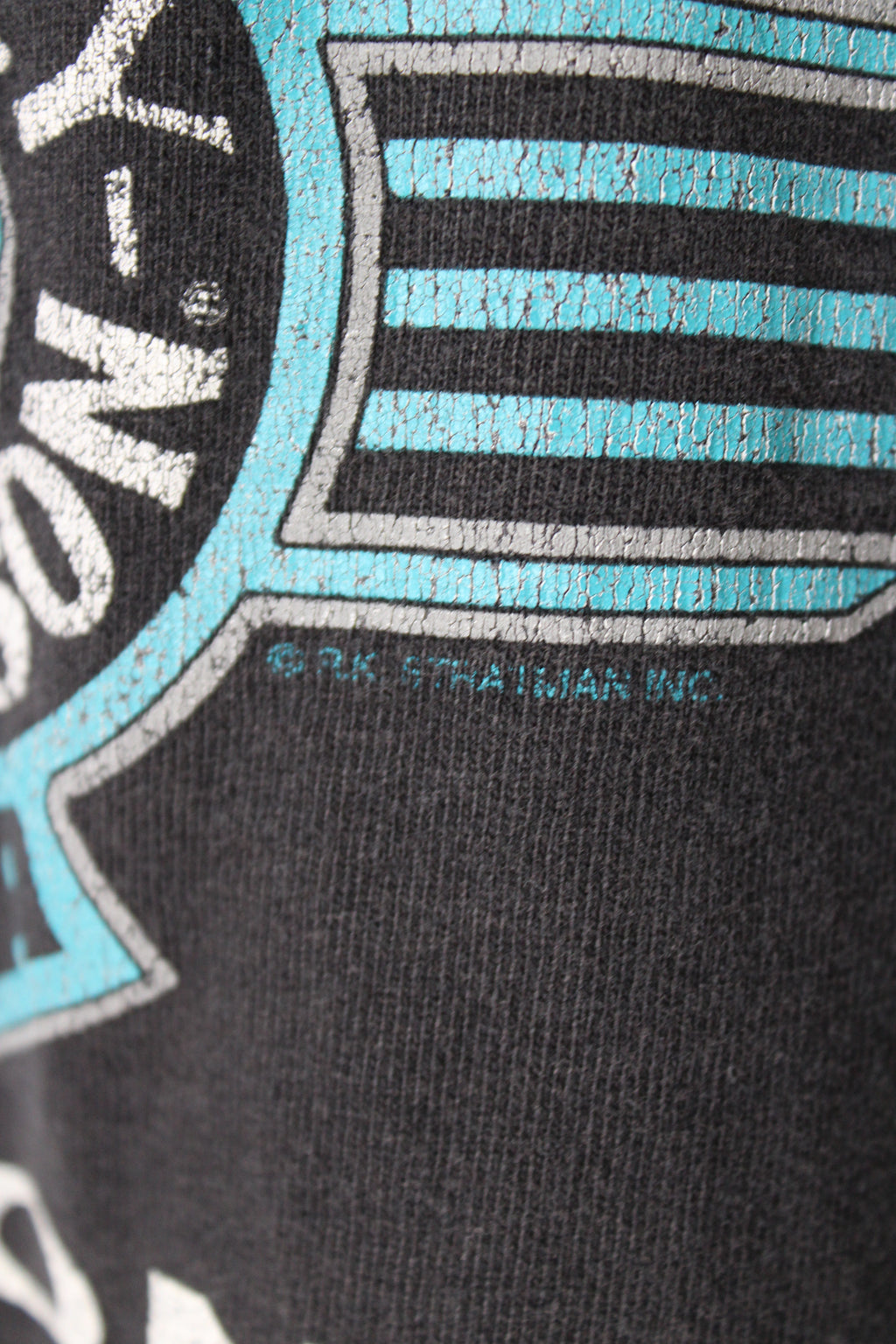 Vintage Flagstaff Harley Tee
