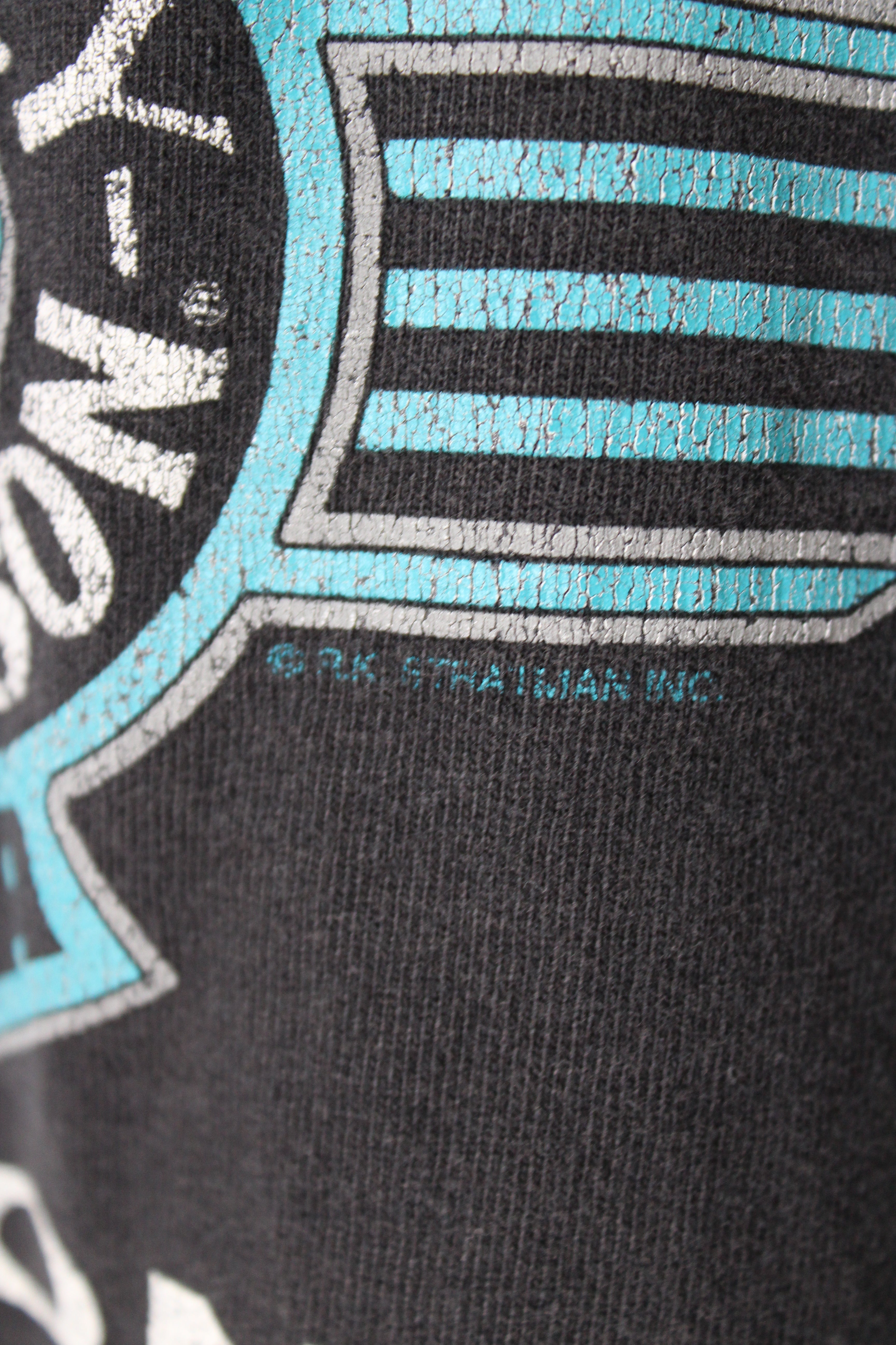 Vintage Flagstaff Harley Tee